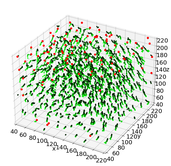 _images/Jupy_FoamQuant_66_1.png
