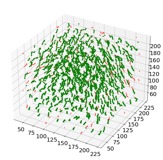 _images/Jupy_FoamQuant_85_0.png
