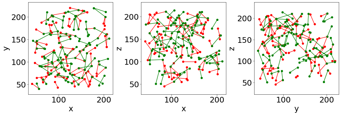 _images/Jupy_FoamQuant_T1_detection_24_0.png