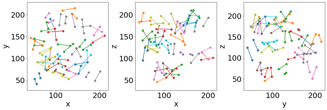 _images/Jupy_FoamQuant_T1_detection_29_0.png